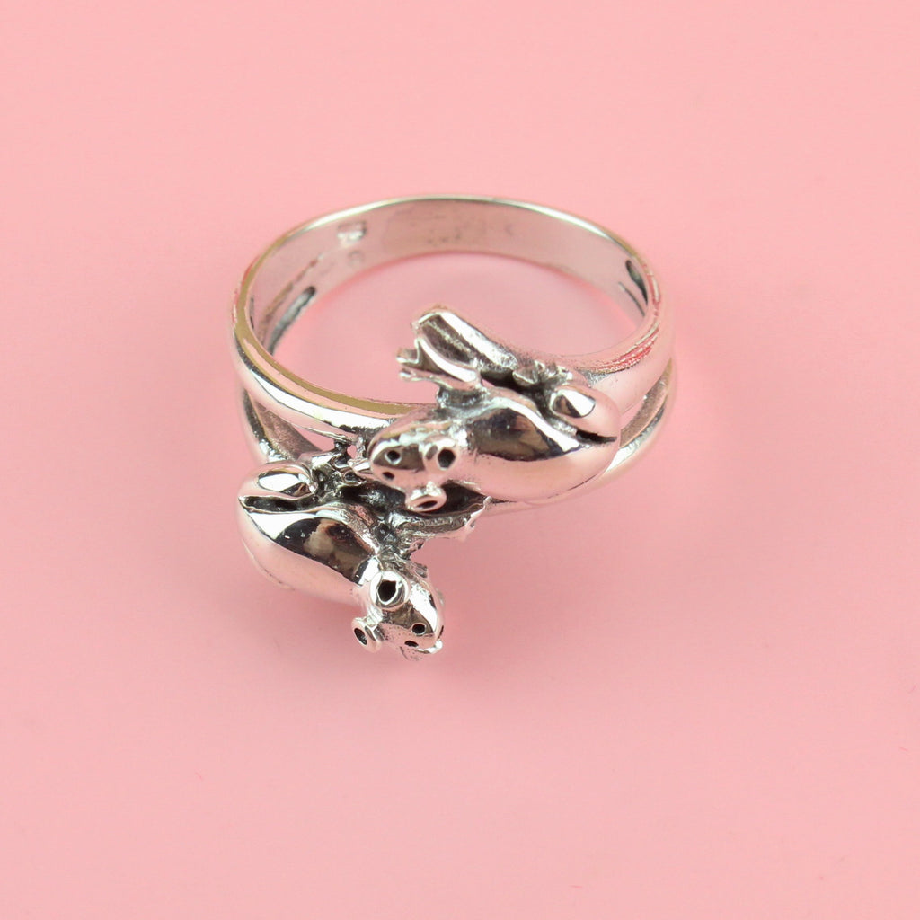 Ribbit Ribbit Ring